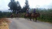 Top Bac Ha
