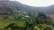 Top Bac Ha