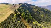 Top Ružomberok