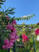 Top Datca