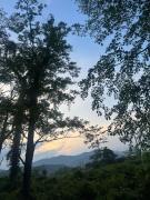 Top Mirik
