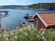 Top Ellös