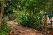 Top Dandeli