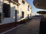 Top San Domino