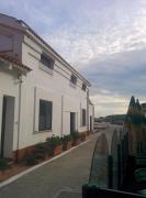 Top San Domino