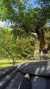 Top Wienrode