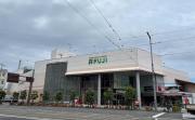Top Matsuyama