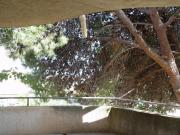 Top Noto Marina