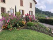 Top Saint-Nabord