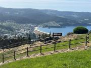 Top Viveiro