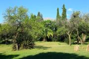 Top San Javier