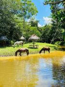 Top Barrio Florida