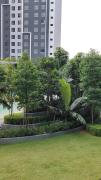 Top Bandar Gamuda Cove