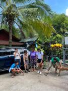 Top Coron