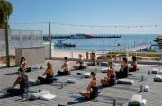 Top Wyspa Rottnest