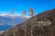 Top Bellano