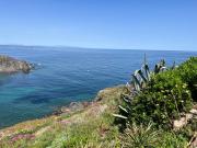 Top Port-Vendres