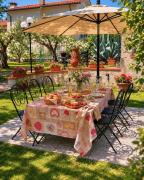 Top Pistoia