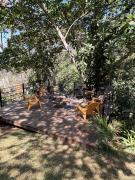 La Laguna Lodge