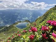 Top Rofansiedlung