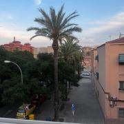 Veleta Montserrat - Alicante