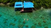 Top Bocas del Toro