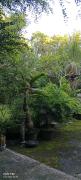 Top Ubud