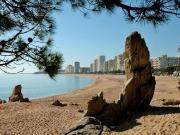 Top Platja dAro