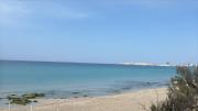 Top Gallipoli
