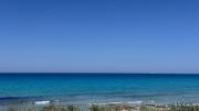 Top Gallipoli