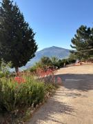 Top Scopello
