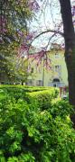 Top Modena