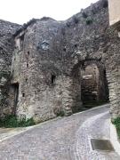 Top Petrizzi