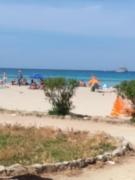 il diamante del mare