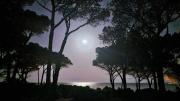 Top Budoni