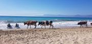 Top Agios Spyridon Corfu