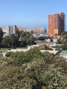 Top Arica
