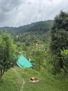 Top Jibhi