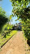 Top Ubud Top Ubud