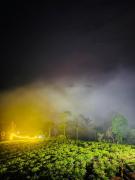 Top Vagamon