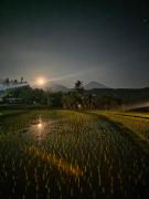 Top Munduk