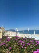 Top Castelfidardo