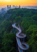 Top Chongqing