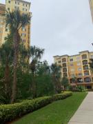 Top Orlando