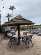 Top Orlando