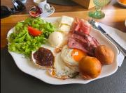 Field Apartments and SPA Kolasin