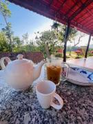 Top Tân Phú
