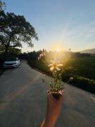 Top Tân Phú