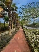 Top Cartagena de Indias