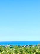 Linea d Orizzonte